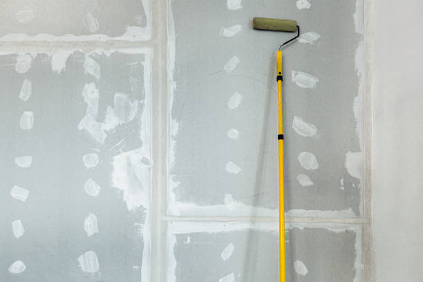 Best Real Estate Mold Inspection  in Bourg, LA