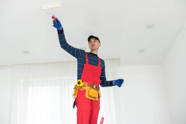 Best Basement Mold Removal  in Bourg, LA