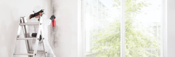 Bourg, LA Mold Removal Company