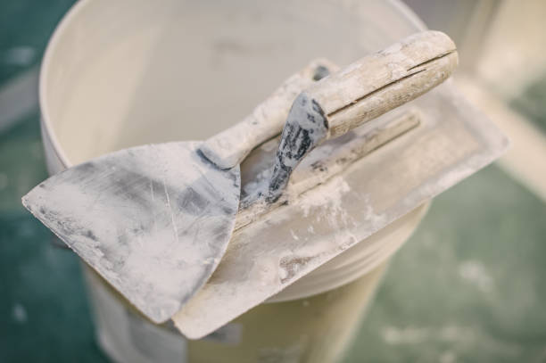Best Forensic Mold Investigation  in Bourg, LA